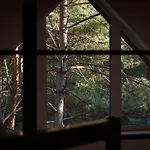 Whispering Woods * Milicz