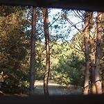 Tatil Evi Whispering Woods Milicz