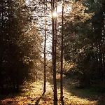 Whispering Woods Milicz