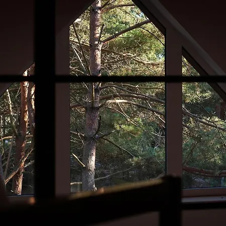 Whispering Woods * 밀리치