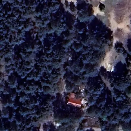 Whispering Woods Ferienhaus Milicz