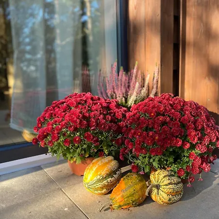 Casa vacanze Whispering Woods Milicz