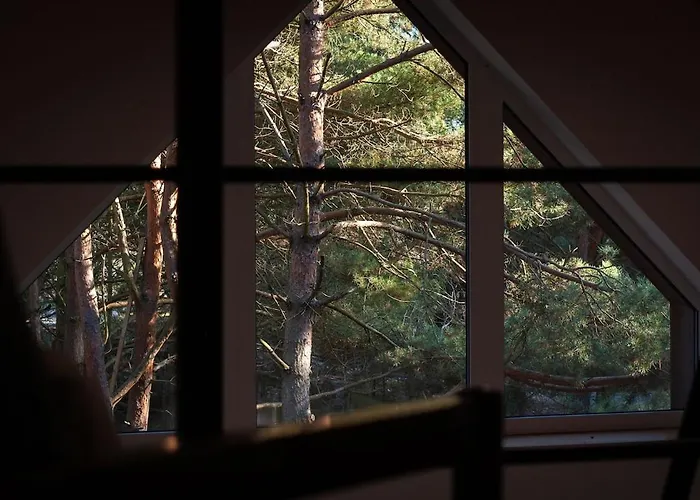 Whispering Woods * Milicz