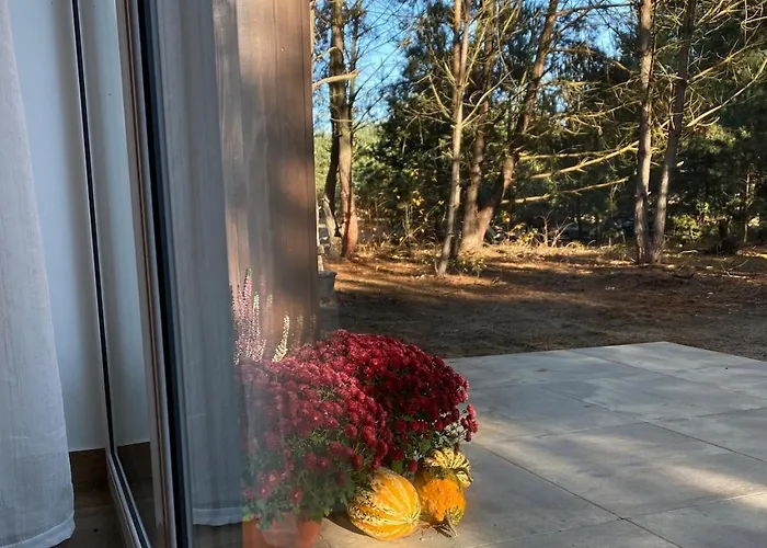 Casa vacanze Whispering Woods Milicz