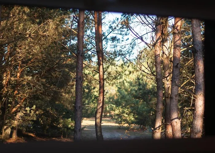 Дом отдыха Whispering Woods Милич