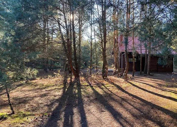 Casa vacanze Whispering Woods Milicz