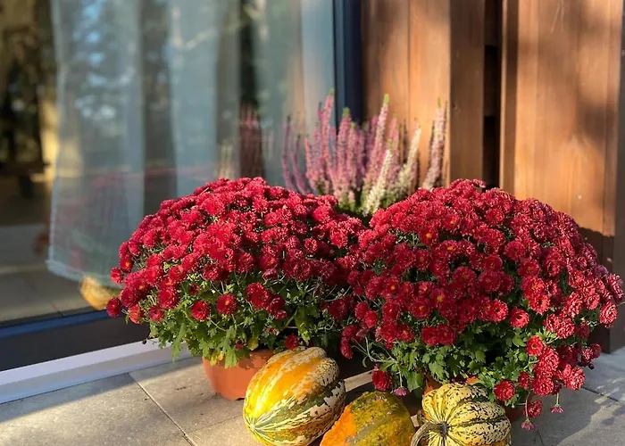 Casa vacanze Whispering Woods Milicz