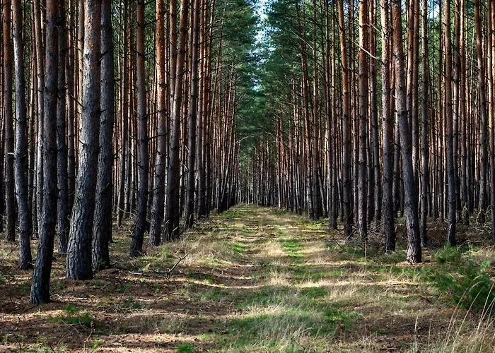 Дом отдыха Whispering Woods *